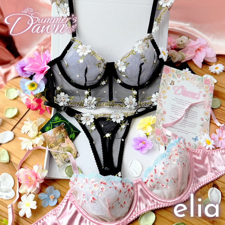 Die Elia Dessous-Box 